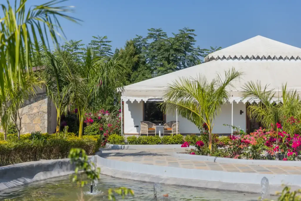 Glamping at the Forest Chapter: Experience the Wilderness with Unmatched Comfort