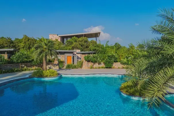 Best Time to Visit Wildlife Resorts in India: A Season-by-Season Guide (2026)