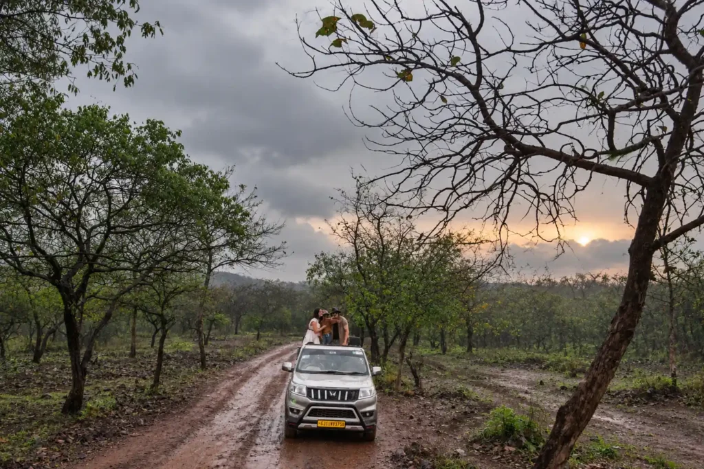 5 Best Places to Visit in India During Monsoon for a Luxury Wildlife Escape