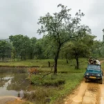 15 Incredible Places to Visit in India for Your Next Wild Escape