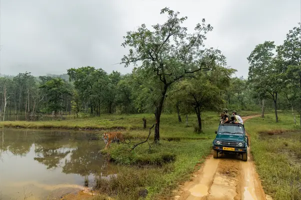 15 Incredible Places to Visit in India for Your Next Wild Escape