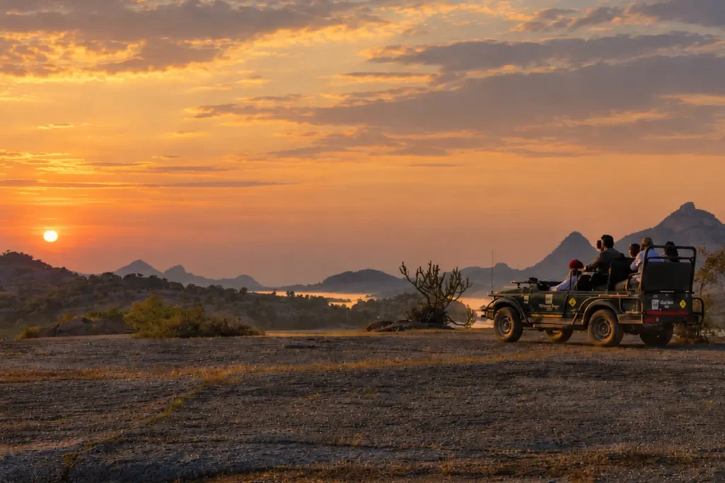 What Makes India a Travel Destination Unlike Any Other: Heritage, Wildlife and the Case for a Longer Stay