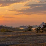 What Makes India a Travel Destination Unlike Any Other: Heritage, Wildlife and the Case for a Longer Stay